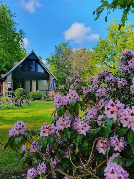 בוקהורן Ferienhaus Blauer See Mit Optionalem Hot-Tub מראה חיצוני תמונה